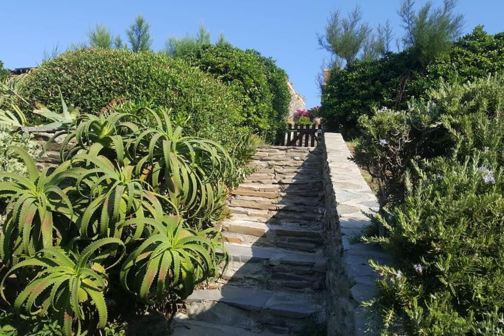 Villa Panoramic On Of Capo Falcone Stintino