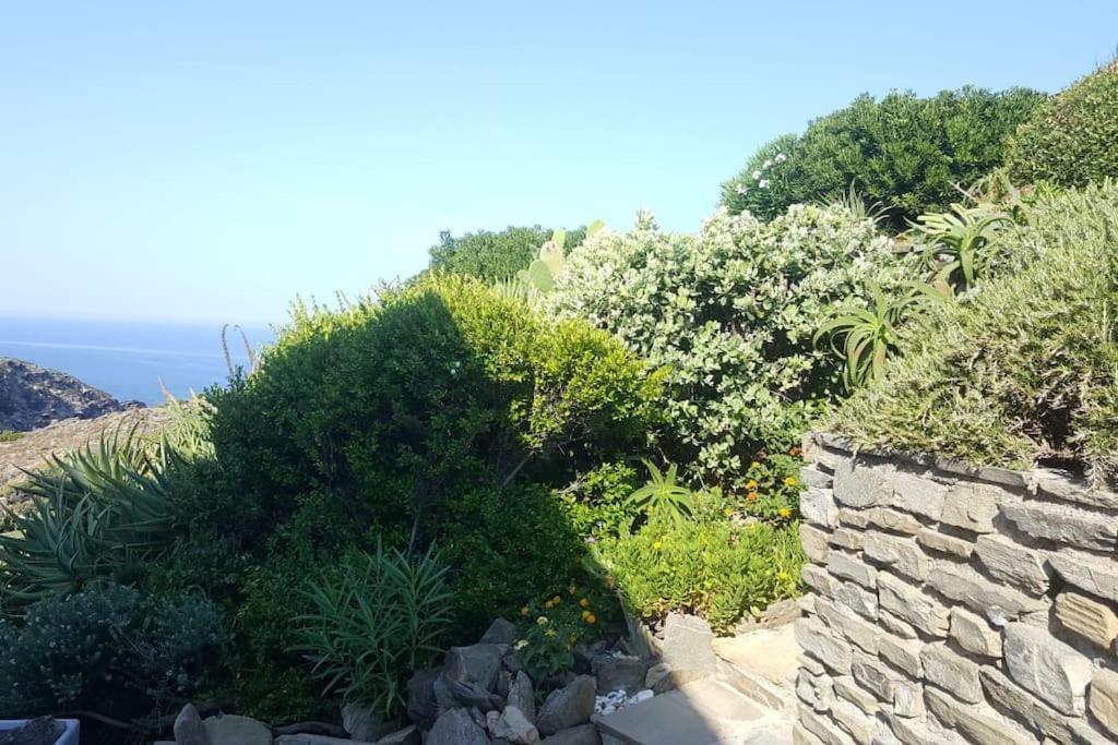 Villa Panoramic On Of Capo Falcone *