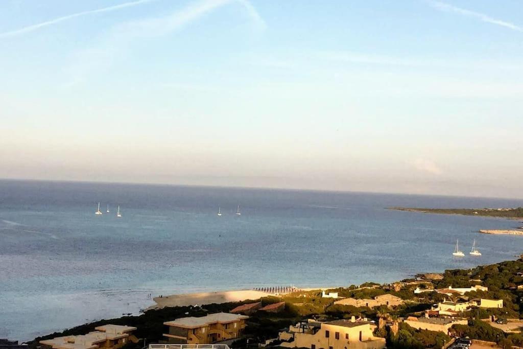 Panoramic On Of Capo Falcone *