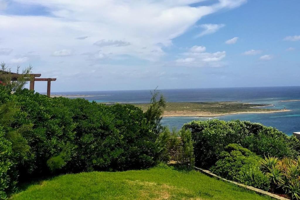 Panoramic On Of Capo Falcone * Stintino