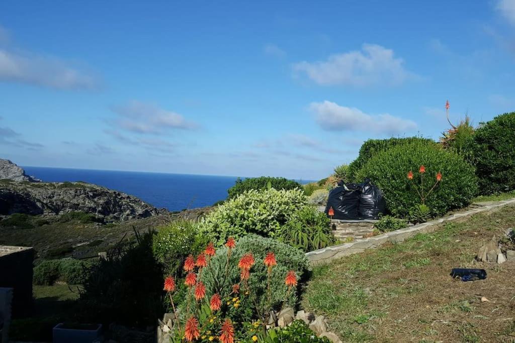 Panoramic On Of Capo Falcone Villa