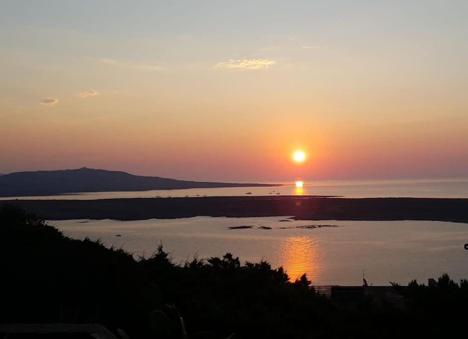 Panoramic On Of Capo Falcone * Stintino