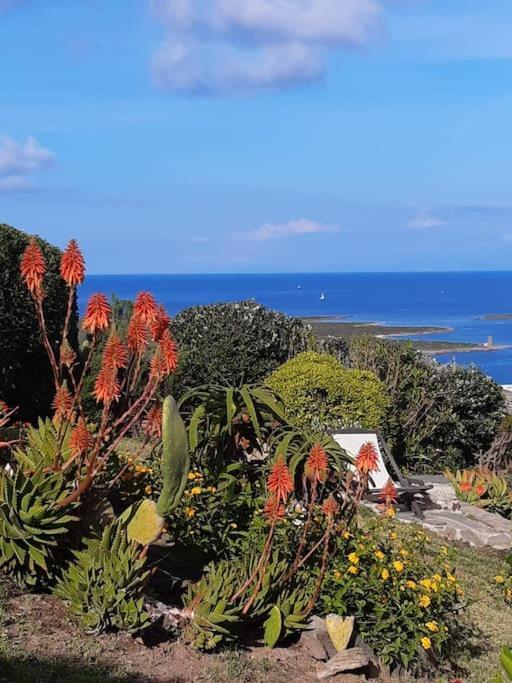 Panoramic On Of Capo Falcone Villa