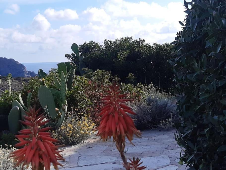 Panoramic On Of Capo Falcone Villa